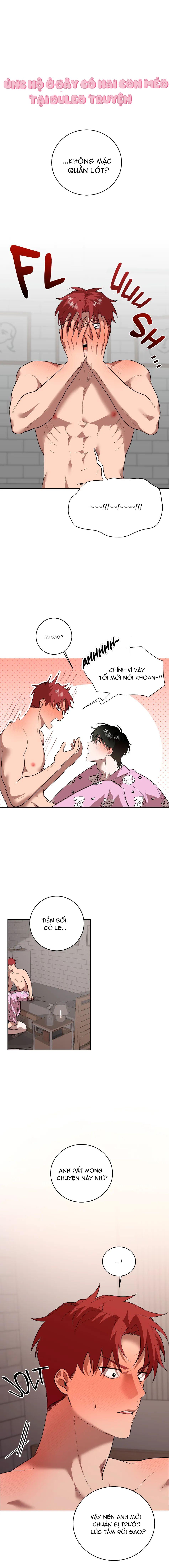 Sự Hiểu Lầm Chapter 7 - Next Chapter 8