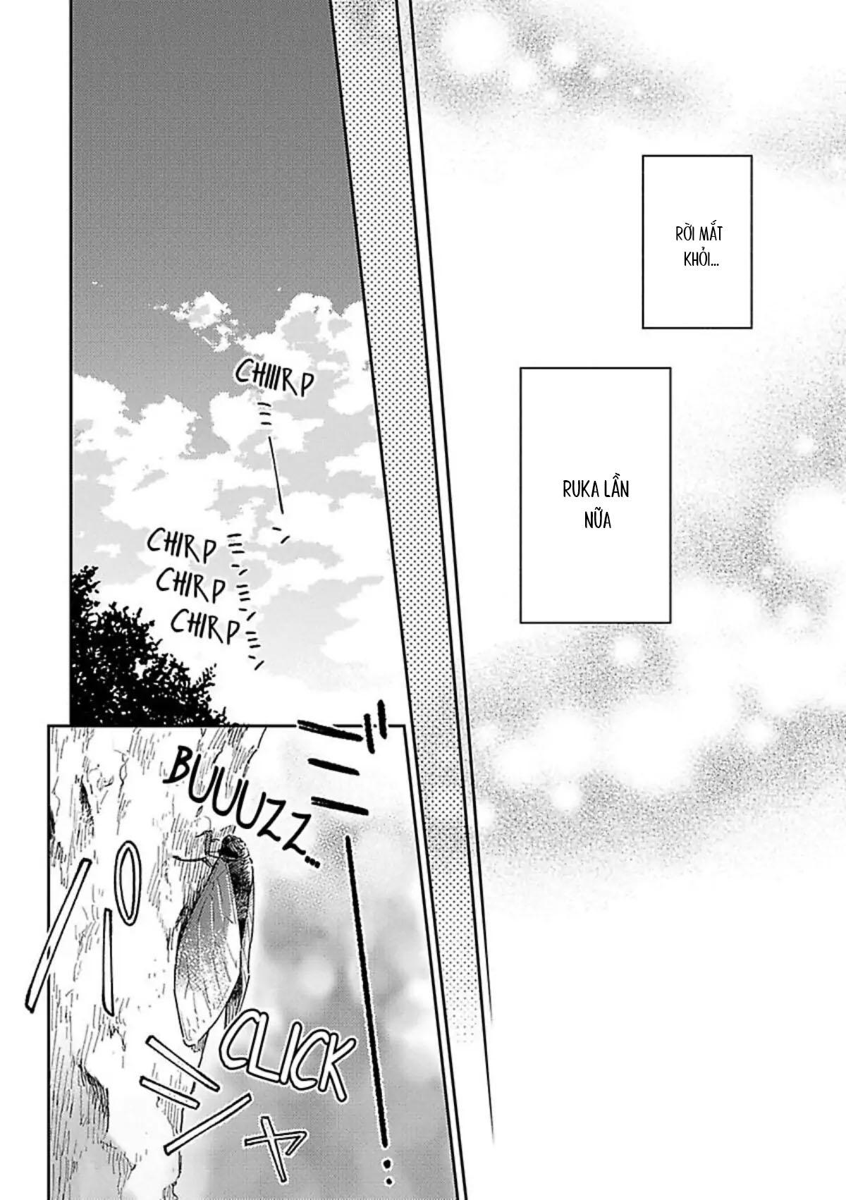 Xuân Thở Than, Hạ Vấn Vương Tình Chapter 5 Hachiennhom - Trang 2