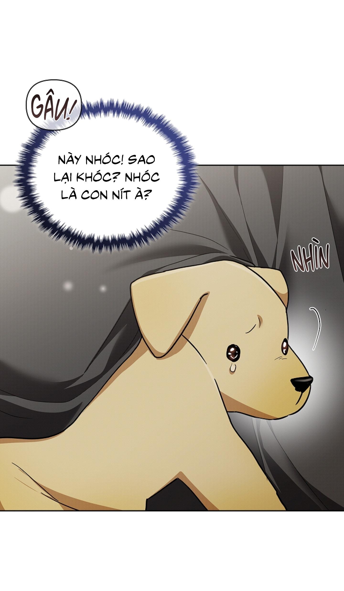 ĐỪNG ĐỘNG VÀO CÚN CON! Chapter 44.03 H - Trang 2