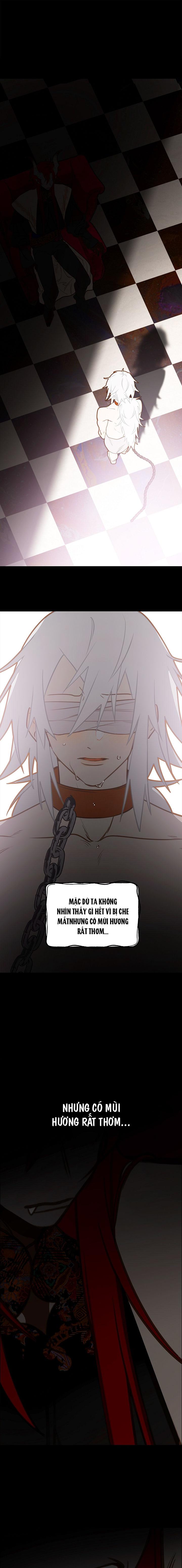 (ABO) TỚI QUỶ THÀNH TÌM PAPA Chapter 2 - Trang 2