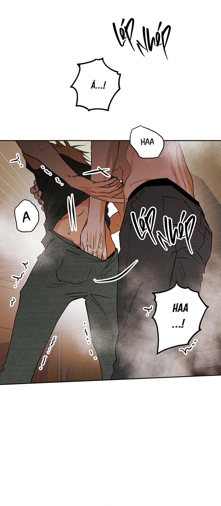 [DDT] Phiên Bản Hoàn Hảo Chapter 1 19+ - Trang 2