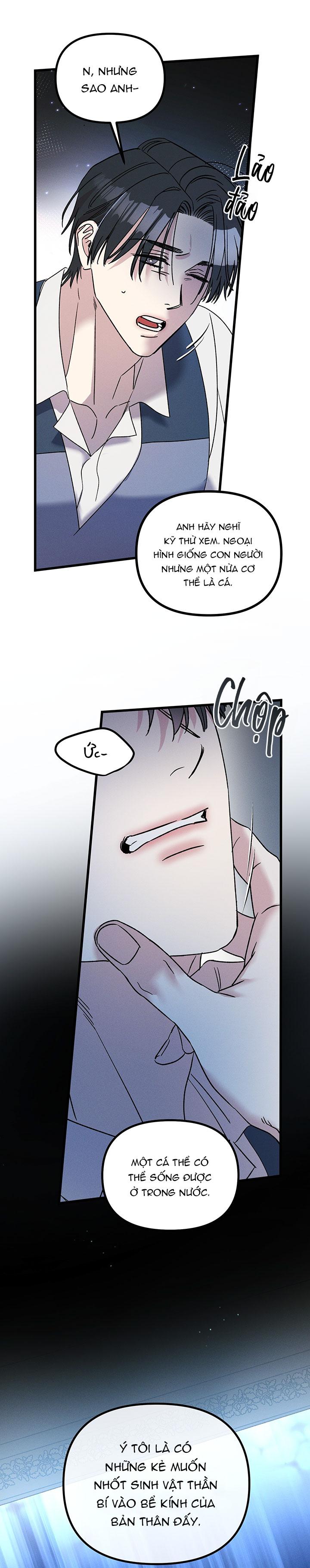 Mermaid's Cradle Chapter 10 - Trang 2