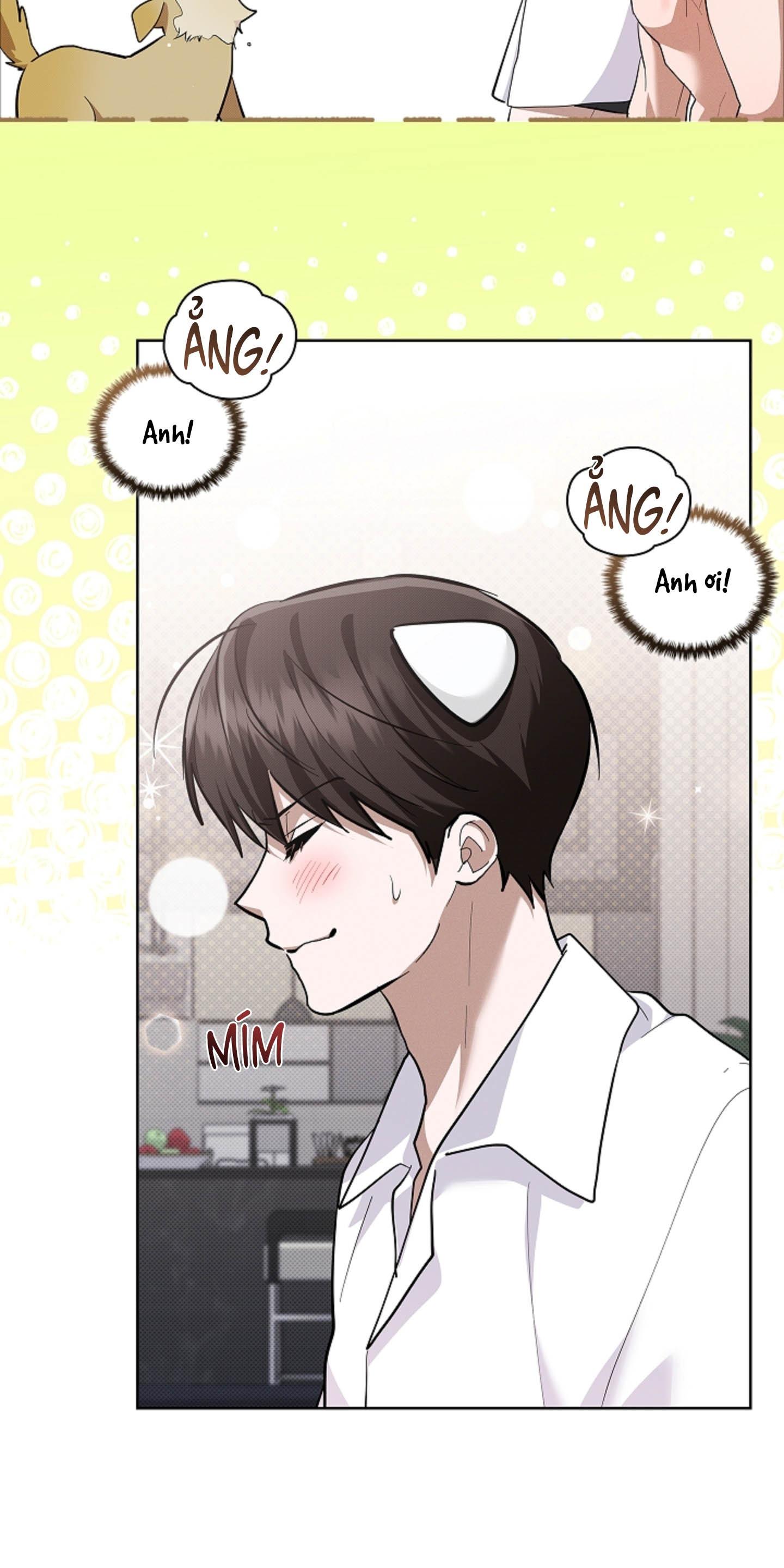 ĐỪNG ĐỘNG VÀO CÚN CON! Chapter 44.04 H+ - Trang 2
