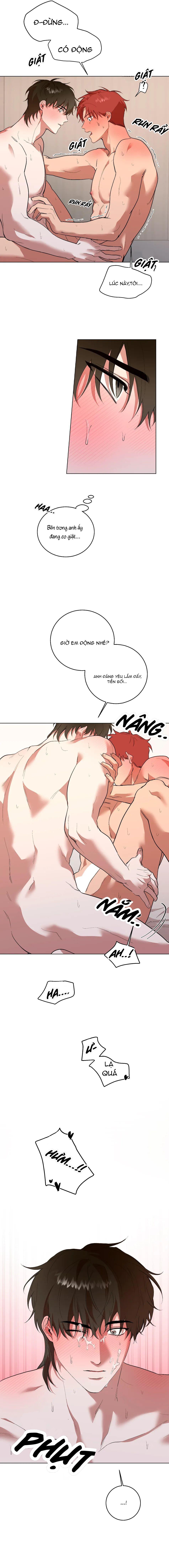 Sự Hiểu Lầm Chapter 5 - Next Chapter 6