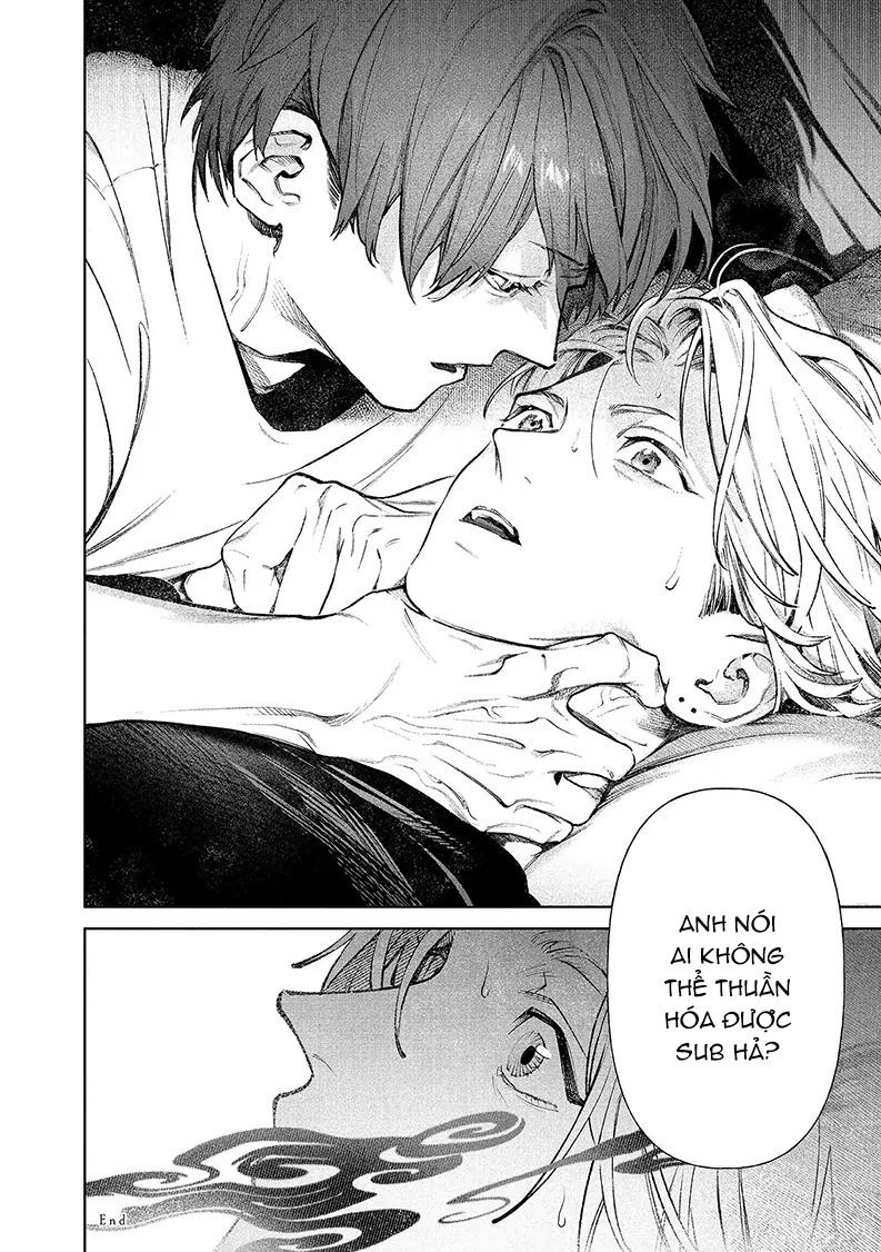 Cho Đến Khi Em Trở Thành Dom Chapter 2 - Trang 2