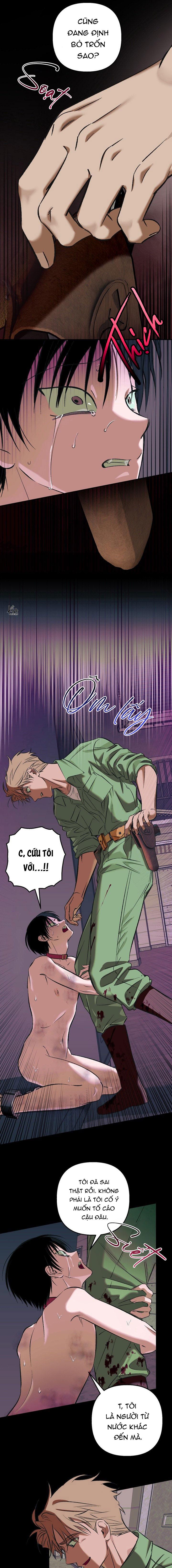 THÚ CƯNG DAMDANG Chapter 9.4 bản báo cáo end - Trang 2