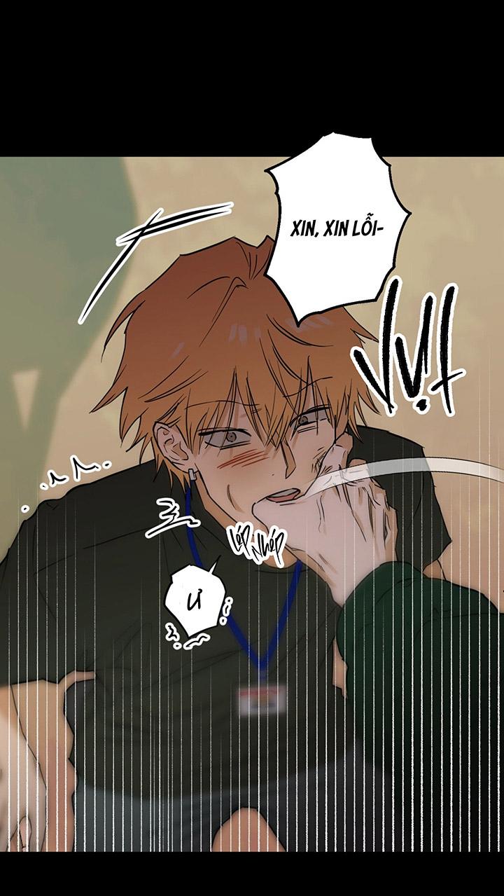 [DDT] Phiên Bản Hoàn Hảo Chapter 2 19+ - Trang 2