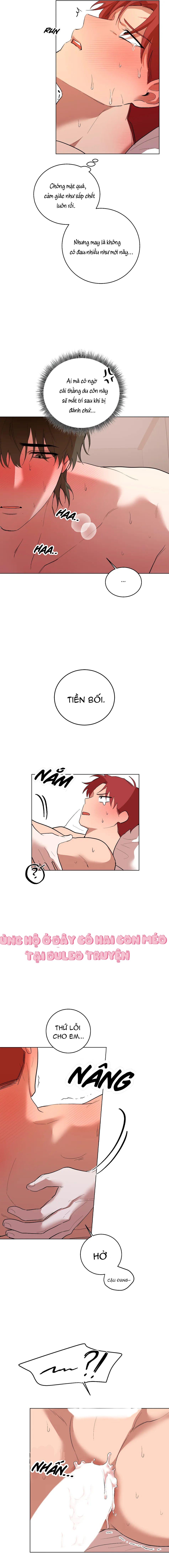 Sự Hiểu Lầm Chapter 5 - Next Chapter 6