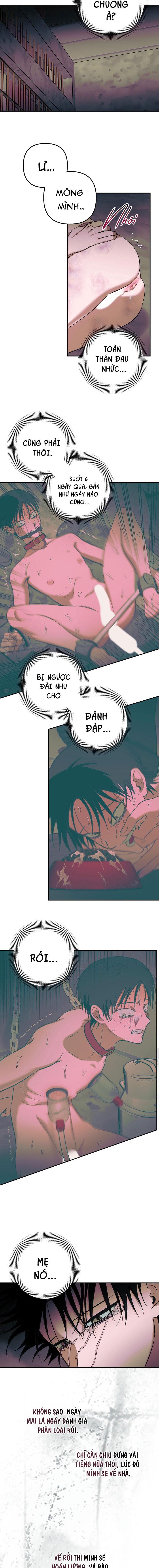 THÚ CƯNG DAMDANG Chapter 9.3 bản báo cáo 3 - Trang 2