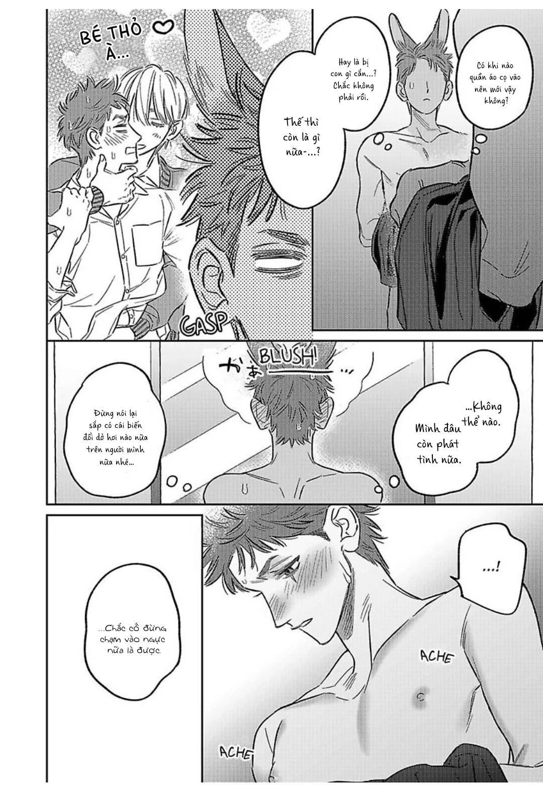Chàng Thỏ Ngọt Ngào Chapter 5 Hachiennhom - Trang 2