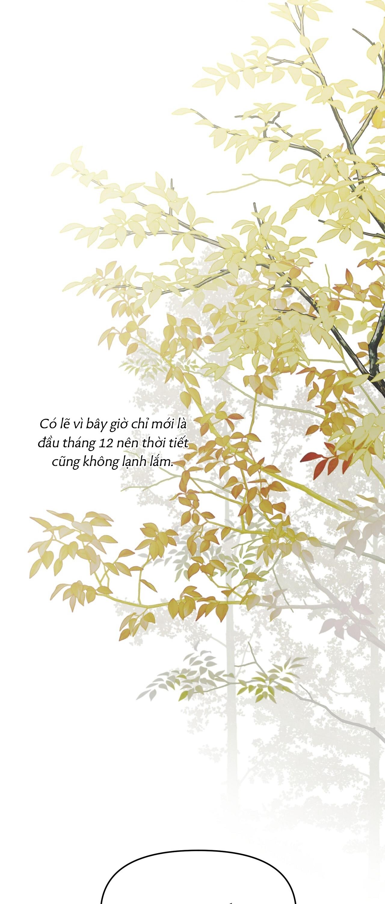 (GĐCV) ÁNH NẮNG LEN LỎI Chapter 10 - Trang 2