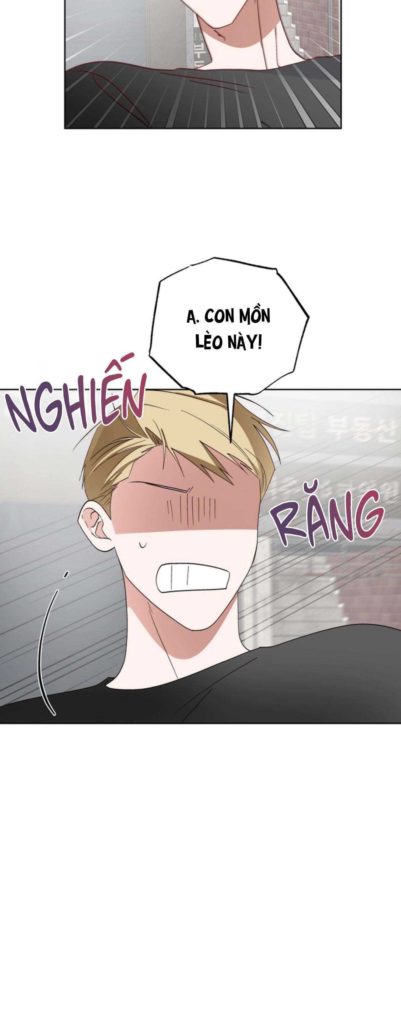 XIN HÃY YÊU THƯƠNG DÙ TÔI LÀ CHUỘT Chapter 6 - Trang 2