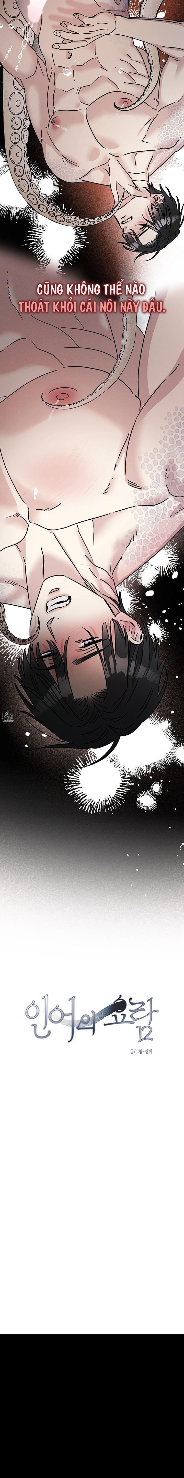 Mermaid's Cradle Chapter 4 - Trang 2