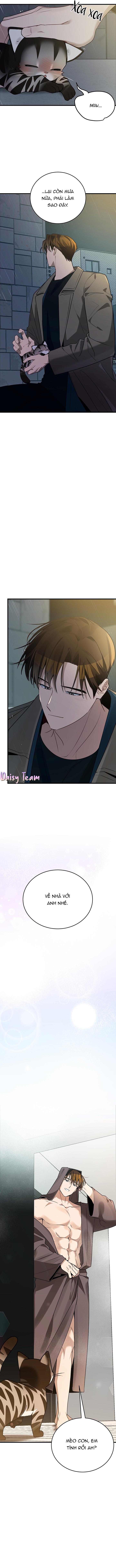 (Daisy) Sinh mèo con cho tôi mau trước khi thằng này điên lên Chapter 2 - Trang 2