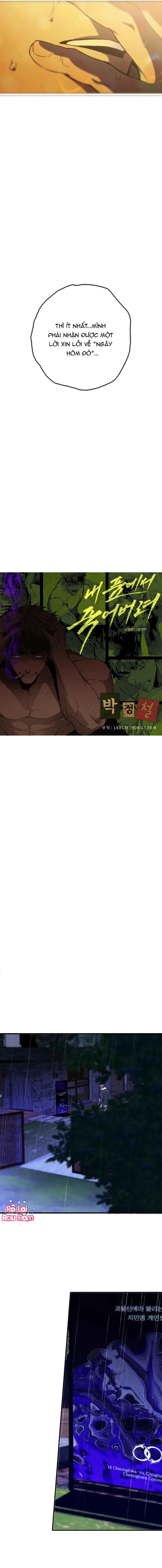 Hãy chết trong vòng tay của tôi Chapter 2 - Trang 2