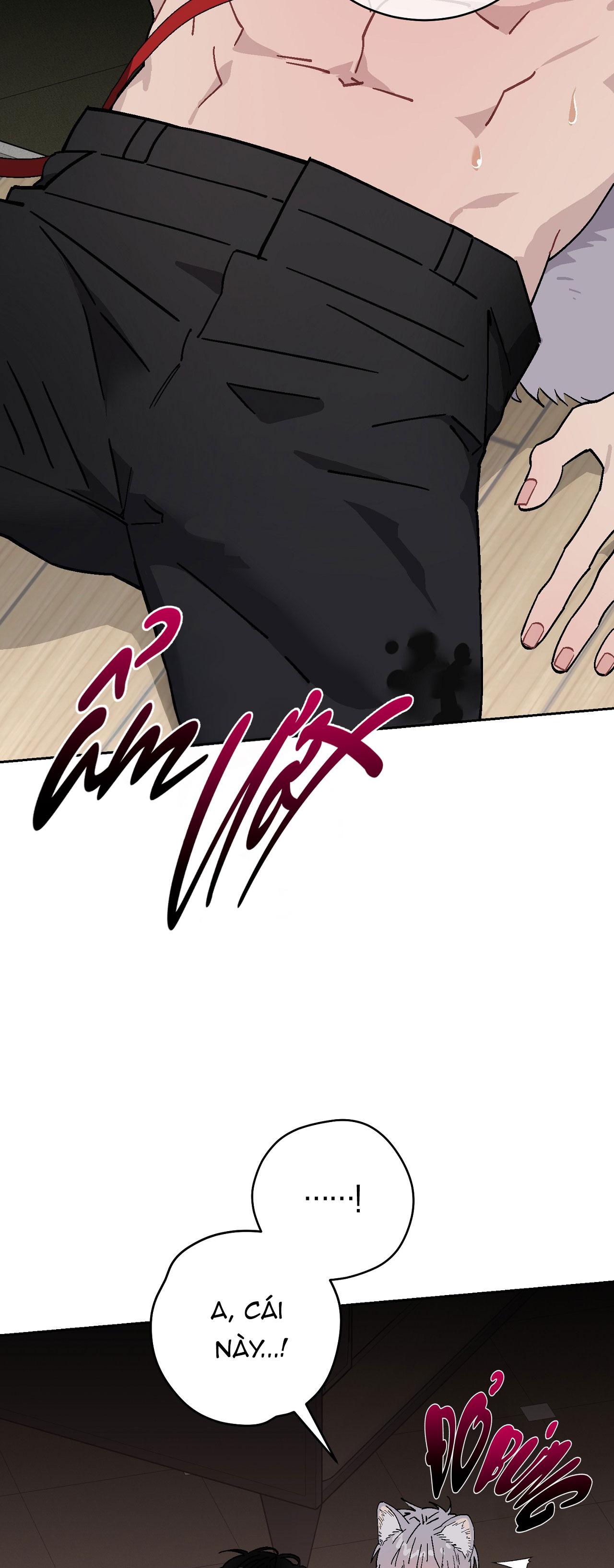 GUIDE ESPER NGẮN Chapter 4.7 esperđịnhmệnhnt - Trang 2