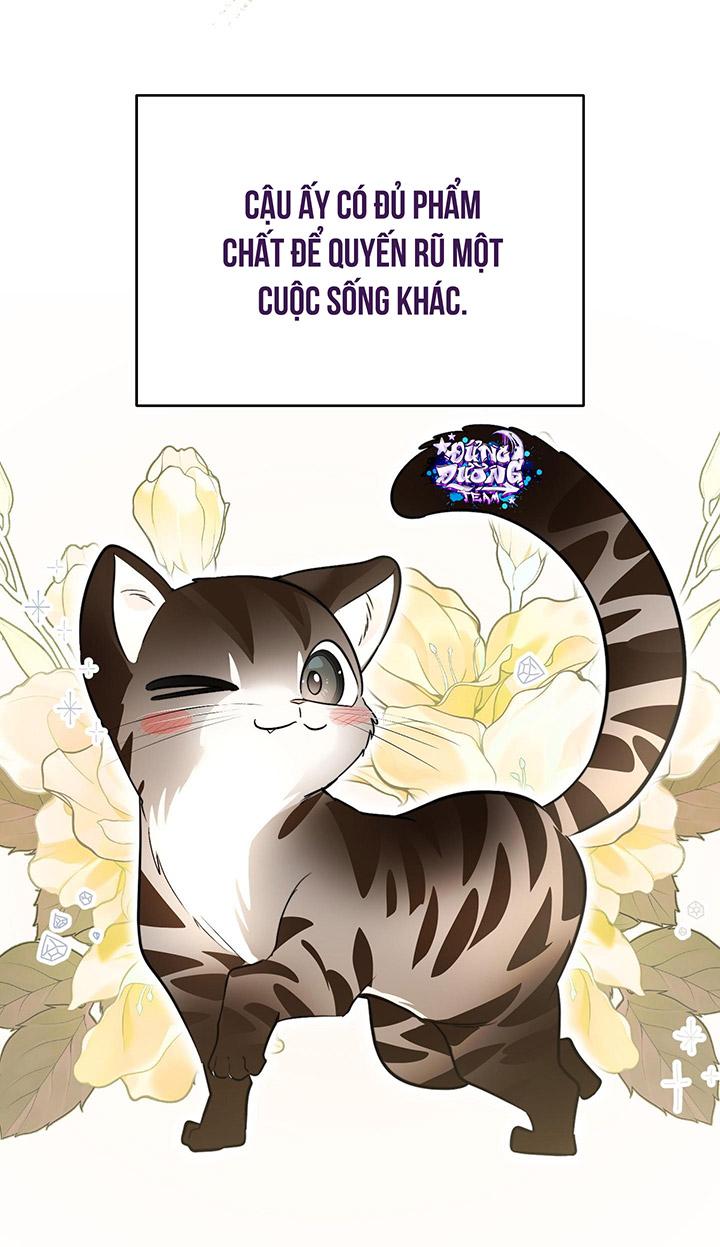 [DDT] HÃY SINH NHẤT MIÊU HÀI WILDCAT, NHƯ BẤT DỤC KIẾN NGÃ PHÁT CUỒNG! Chapter 1 19+ - Trang 2