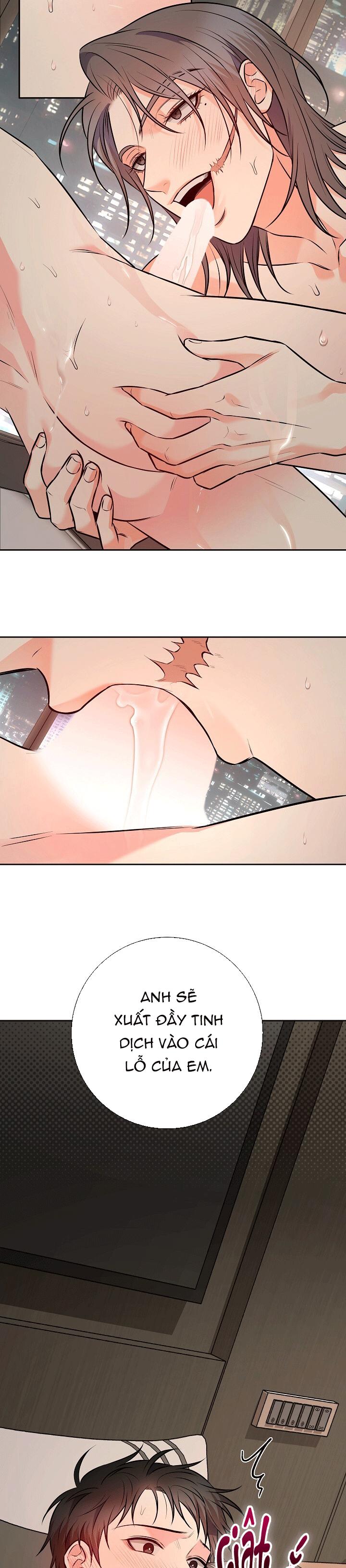 CHÁN GHÉT Chapter 72 - Trang 2