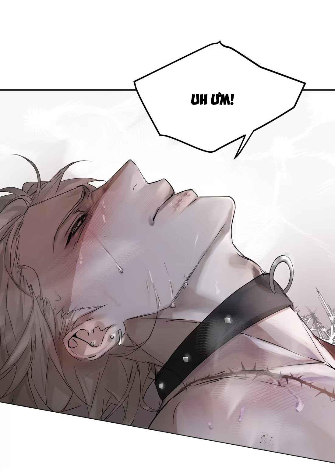 Tôi Bị Chó Điên Phát Hiện Bản Thân Là Đồng Loại Chapter 4 - Trang 2