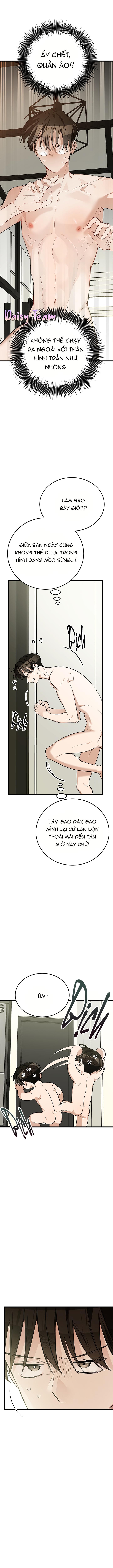 (Daisy) Sinh mèo con cho tôi mau trước khi thằng này điên lên Chapter 9 - Trang 2