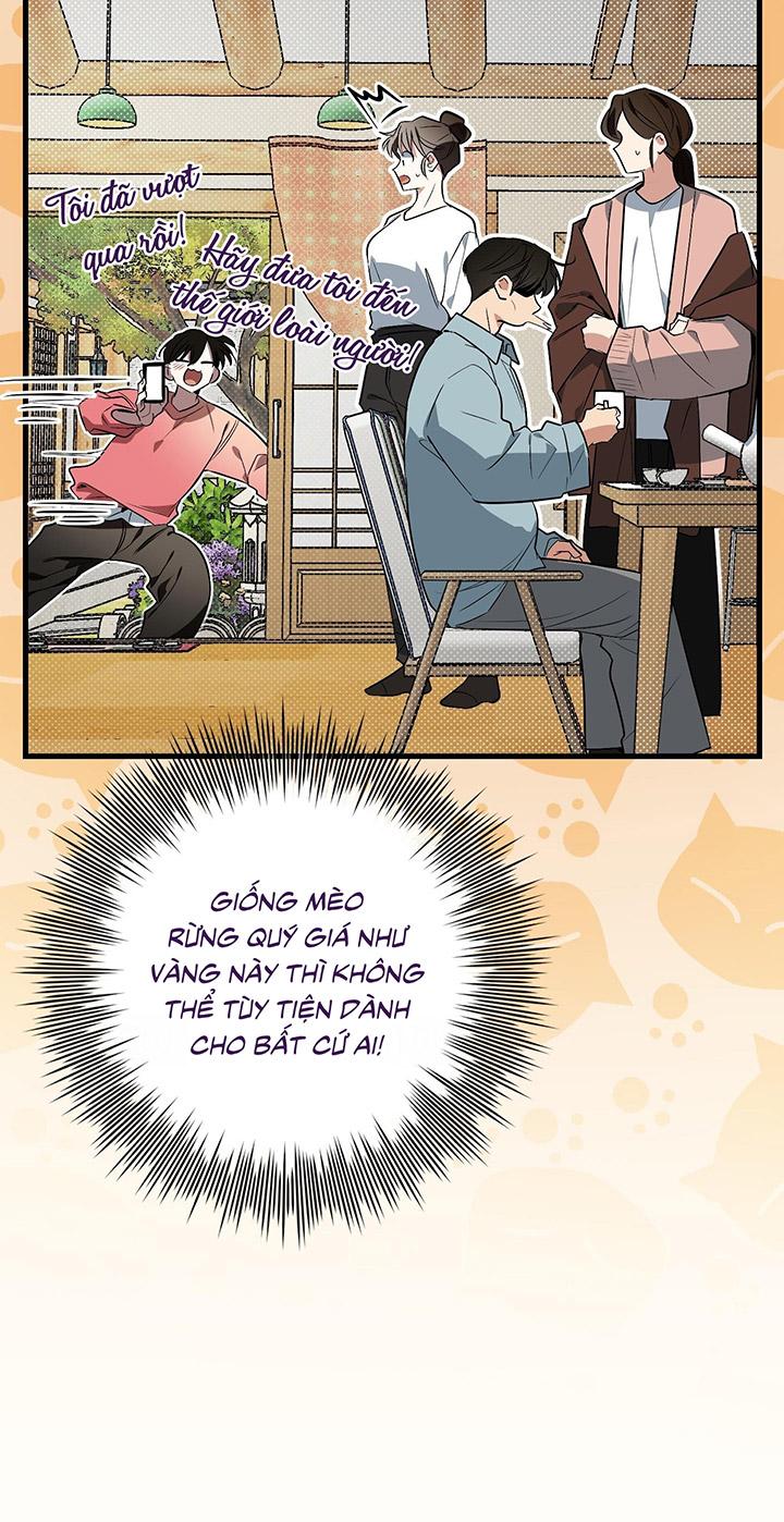 [DDT] HÃY SINH NHẤT MIÊU HÀI WILDCAT, NHƯ BẤT DỤC KIẾN NGÃ PHÁT CUỒNG! Chapter 1 19+ - Trang 2