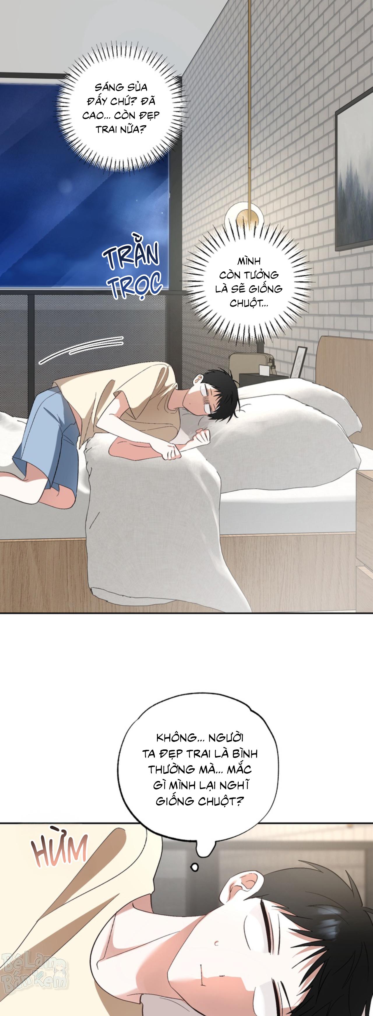 XIN HÃY YÊU THƯƠNG DÙ TÔI LÀ CHUỘT Chapter 5 - Trang 2