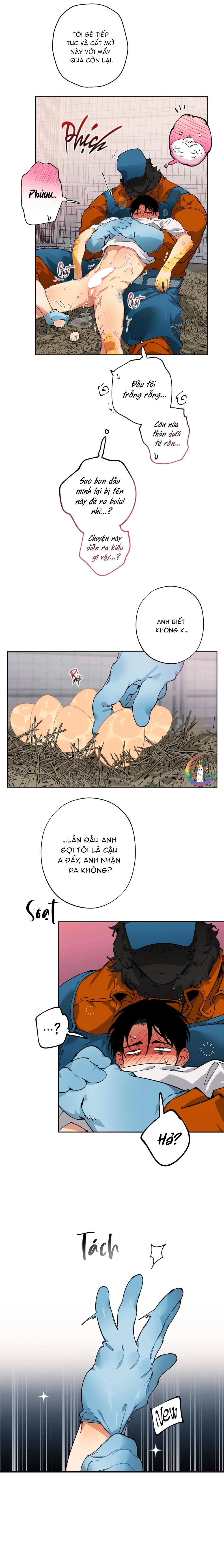 Trang Trại Của Mr.A Chapter 10 - Trang 2