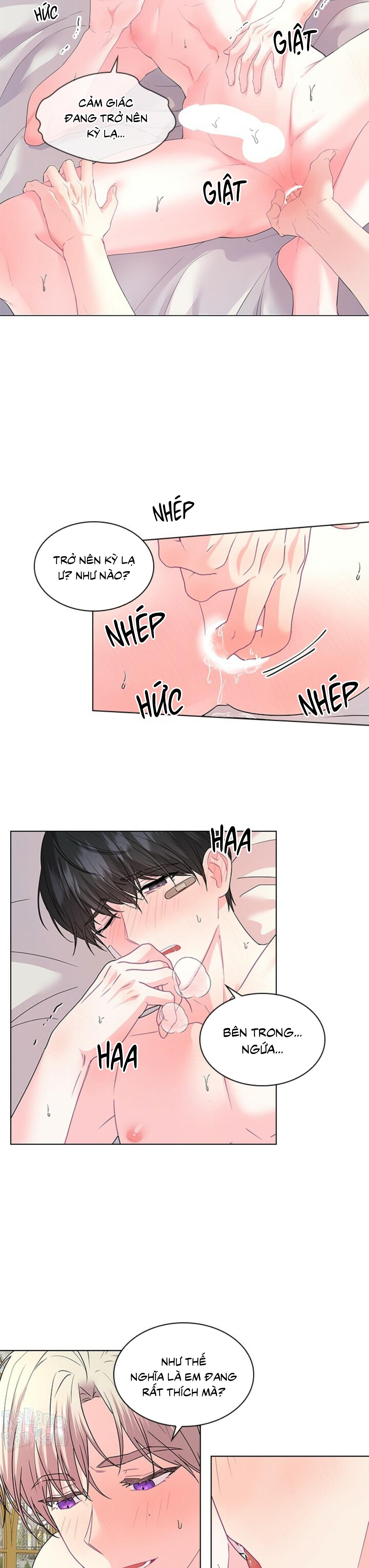 Who’s your daddy Chapter 42 H+++ - Trang 2