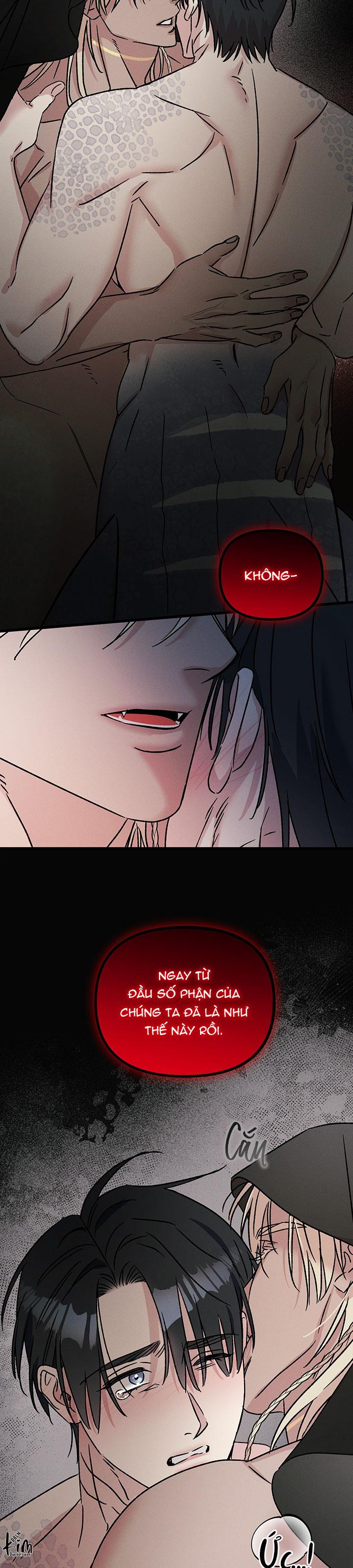 Mermaid's Cradle Chapter 4 - Trang 2