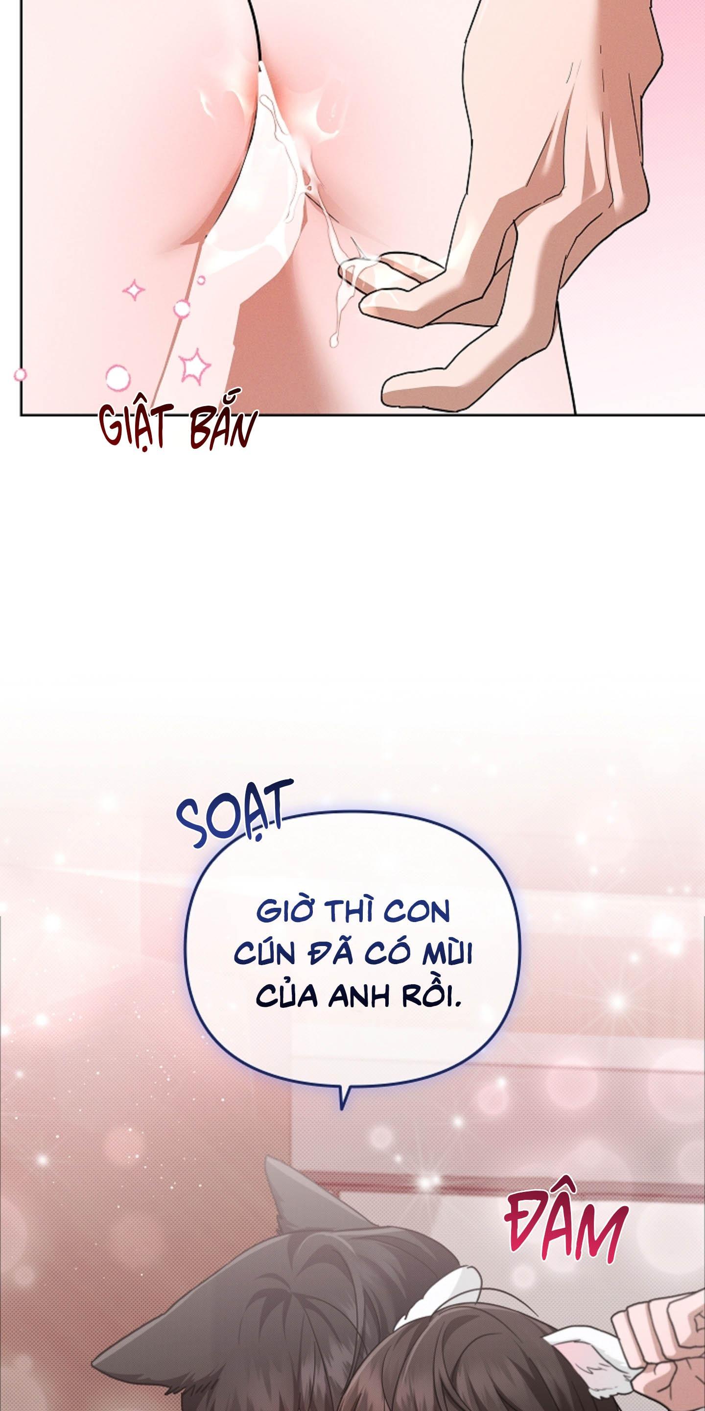 ĐỪNG ĐỘNG VÀO CÚN CON! Chapter 44.04 H+ - Trang 2