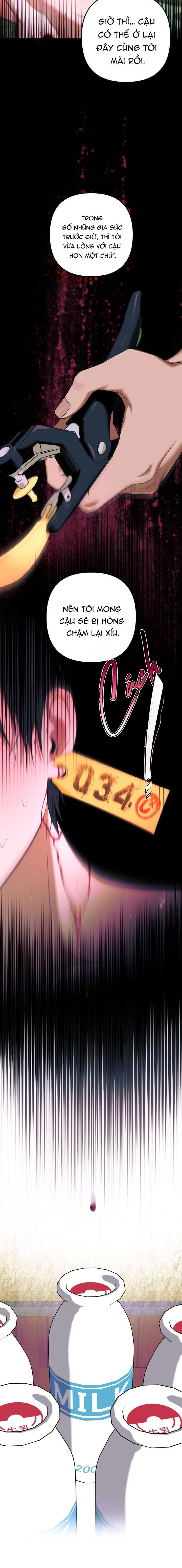 THÚ CƯNG DAMDANG Chapter 9.4 bản báo cáo end - Trang 2