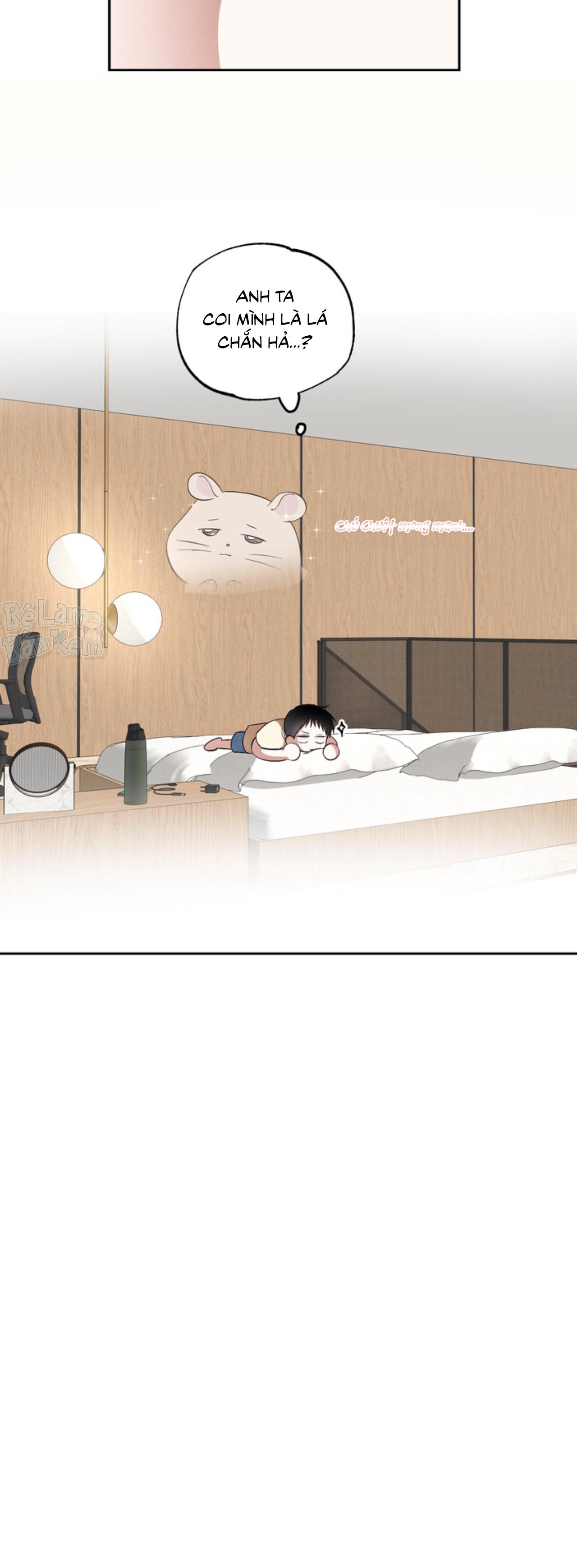 XIN HÃY YÊU THƯƠNG DÙ TÔI LÀ CHUỘT Chapter 5 - Trang 2