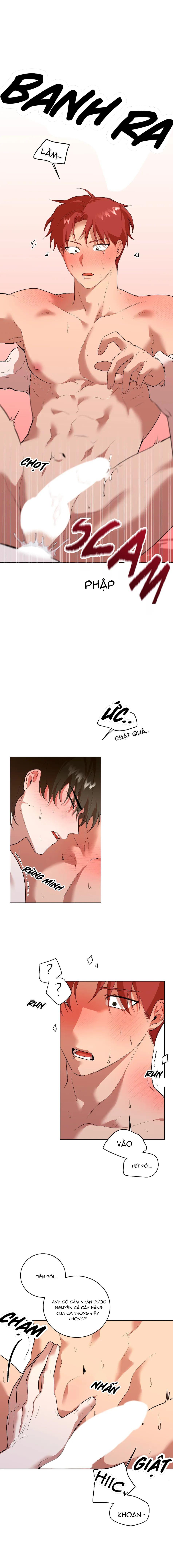 Sự Hiểu Lầm Chapter 5 - Next Chapter 6