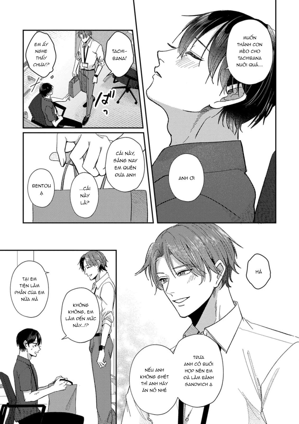 Oneshot Nhẹ Nhàng Tình Cảm Dành Cho Đàn Ông Có Thai Và Đang Cho Con Bú Chapter 2 - Trang 2