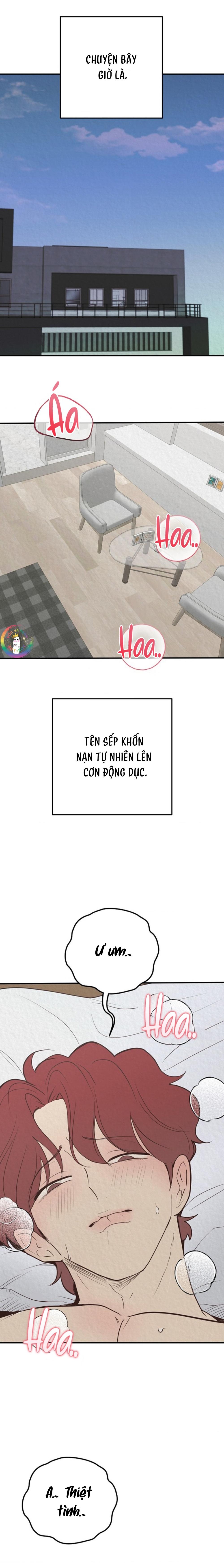 (END) Xin Sếp Phê Duyệt Tối nay Chapter 3 Nhật ký ra mắt - Trang 2