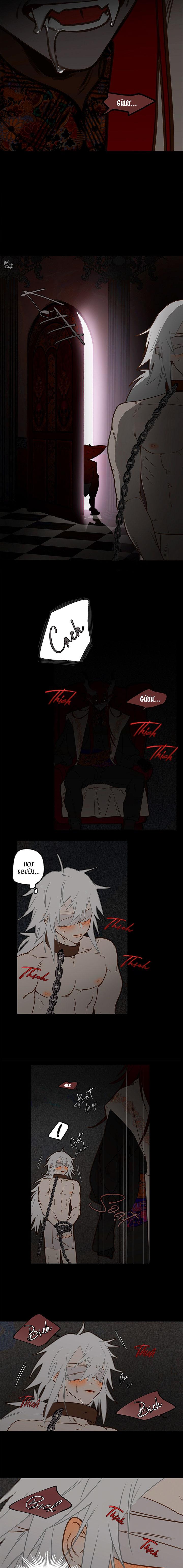 (ABO) TỚI QUỶ THÀNH TÌM PAPA Chapter 2 - Trang 2