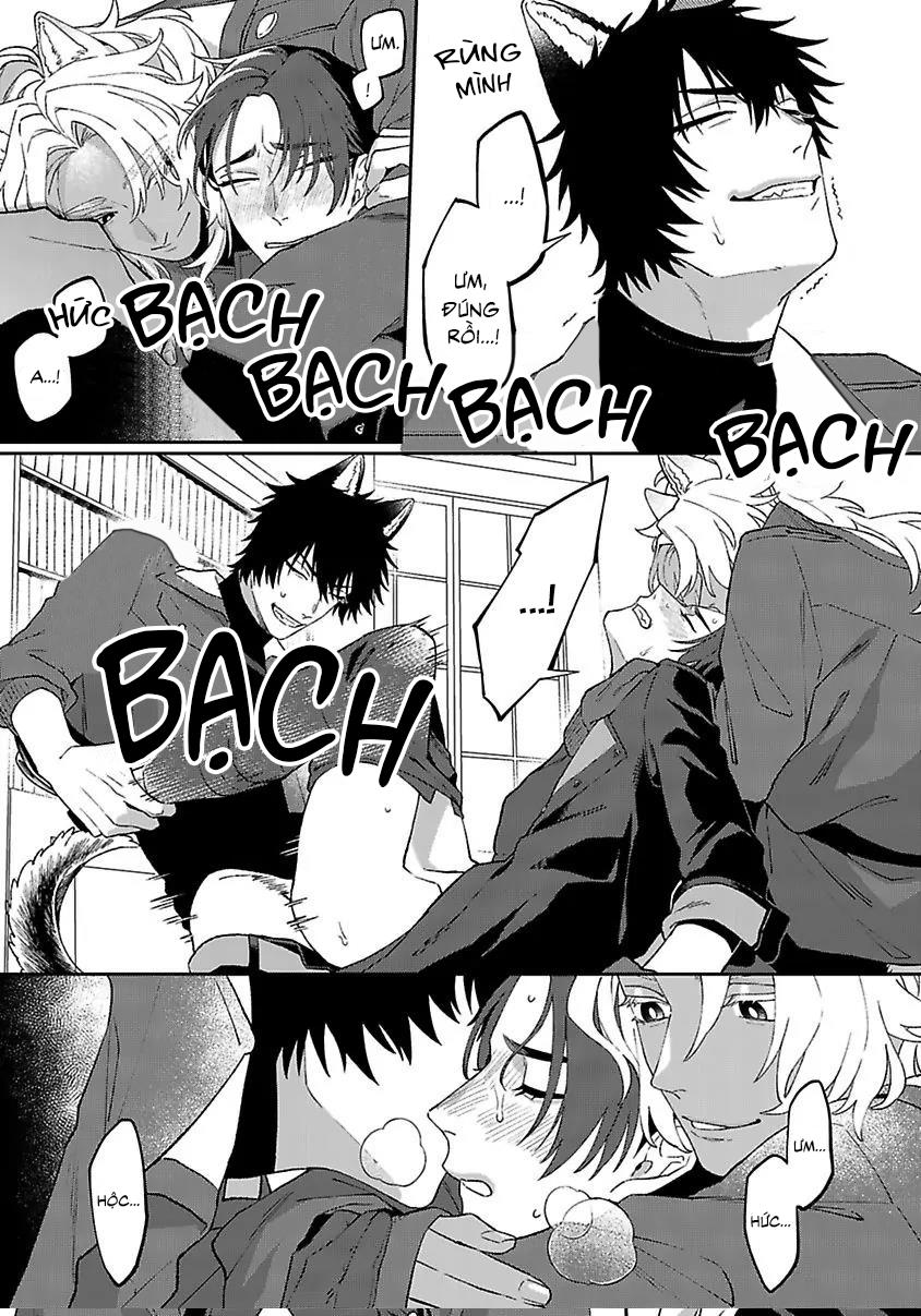 Hai Chú Chó Rắc Rối Chapter 4 - Trang 2