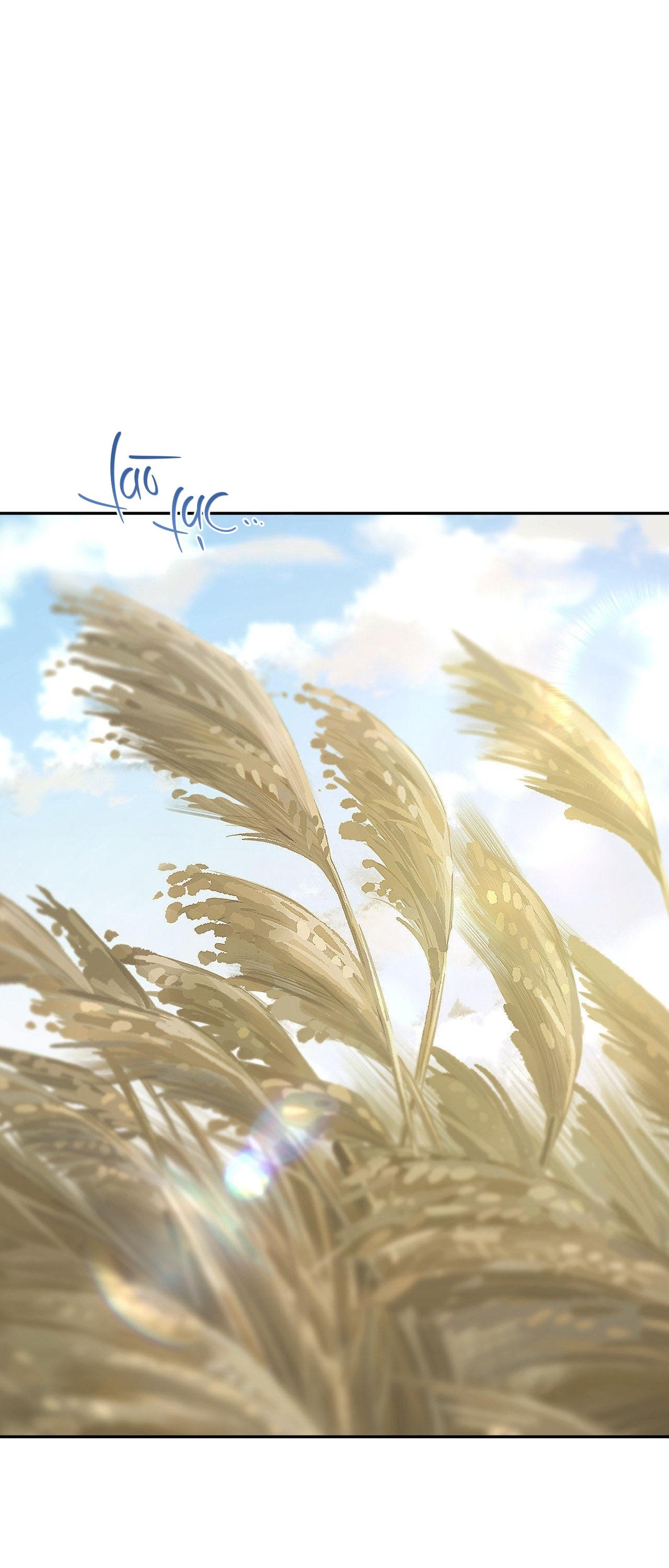 (GĐCV) SA NGÃ Chapter 1 - Trang 2