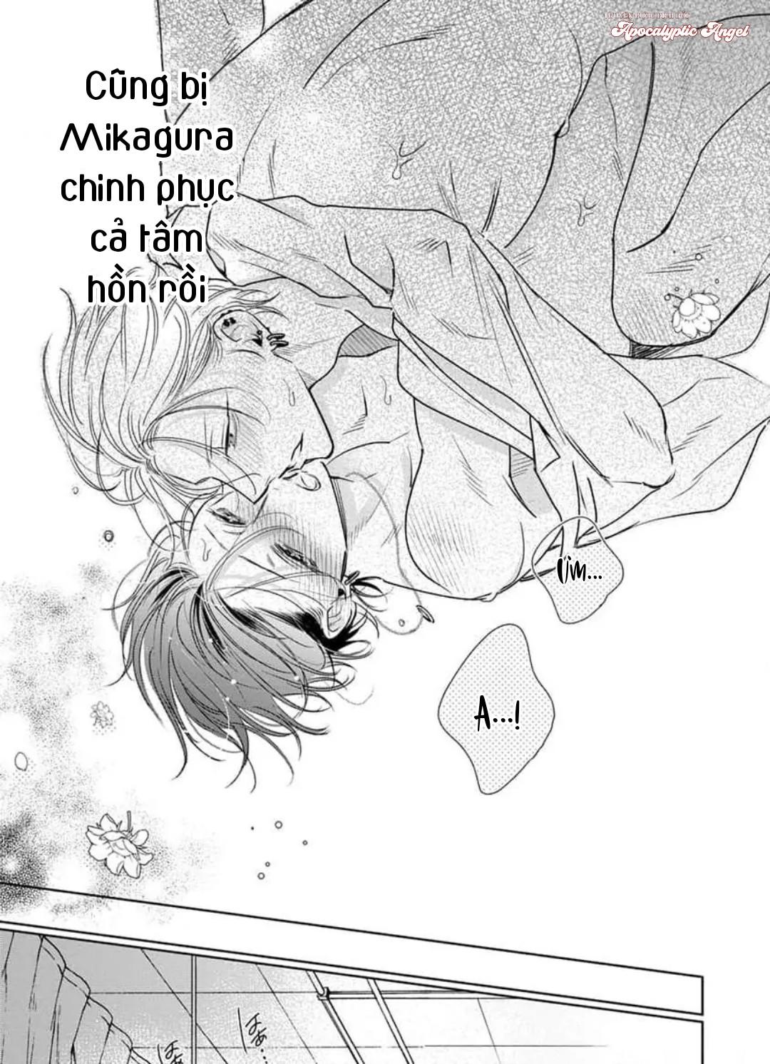 Ngọn Giáo Bất Bại VS Tấm Khiên Bất Phá Chapter 5 - Trang 2
