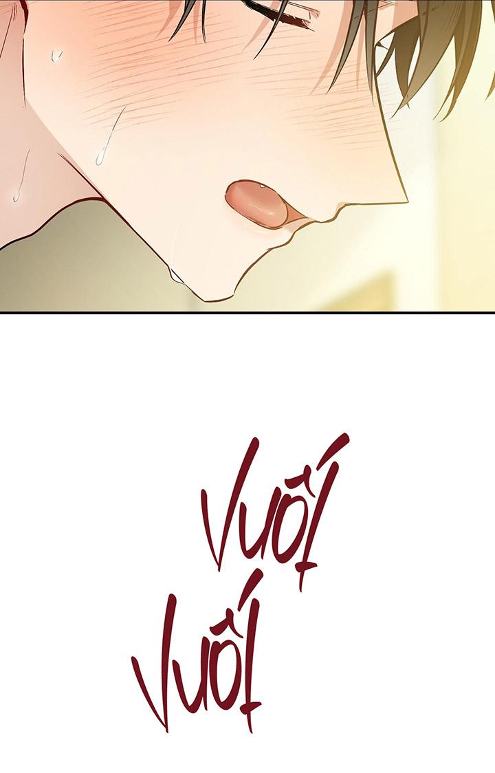 [DDT] HÃY SINH NHẤT MIÊU HÀI WILDCAT, NHƯ BẤT DỤC KIẾN NGÃ PHÁT CUỒNG! Chapter 1 19+ - Trang 2