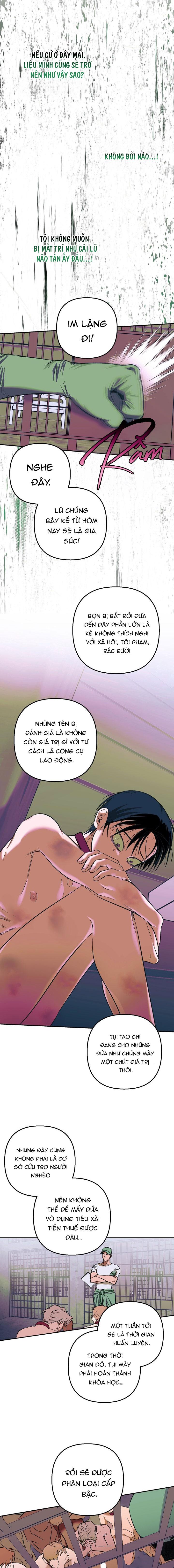 THÚ CƯNG DAMDANG Chapter 9.2 bản báo cáo 2 - Next Chapter 9.2 bản báo cáo 2