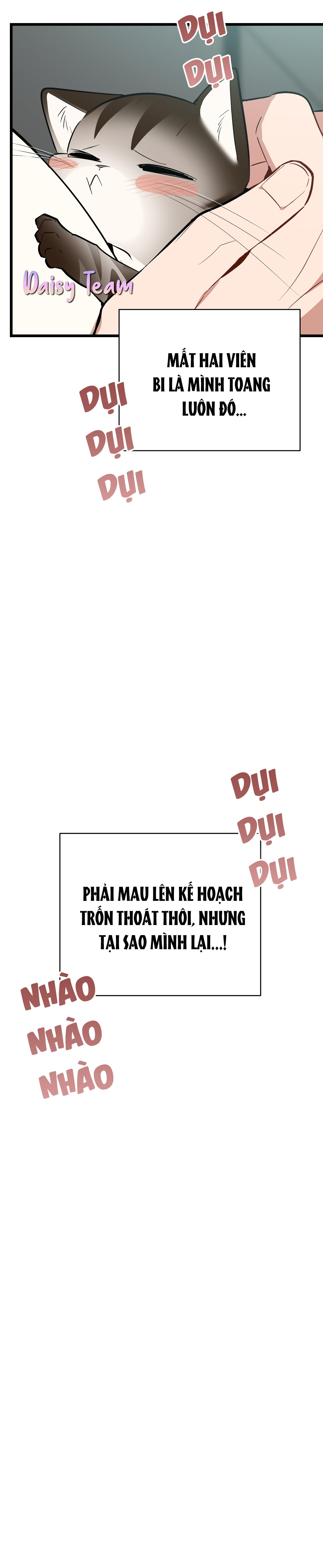 (Daisy) Sinh mèo con cho tôi mau trước khi thằng này điên lên Chapter 8 - Trang 2