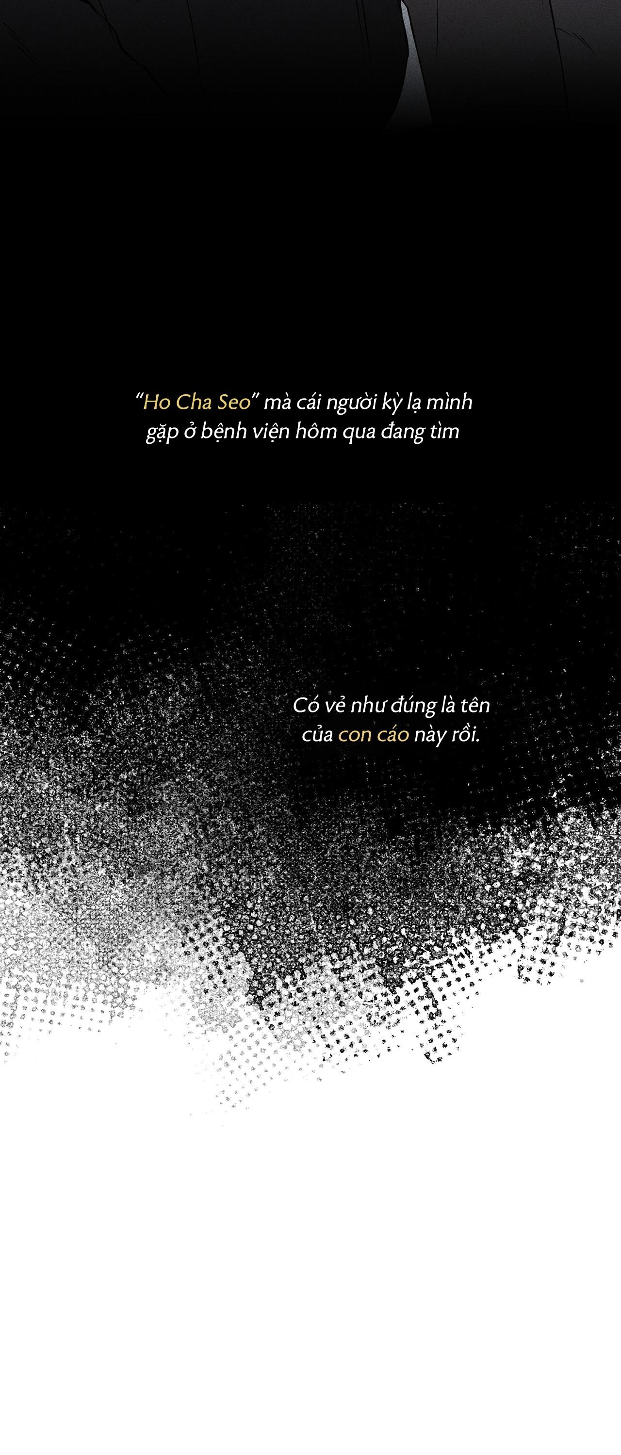 (GĐCV) ÁNH NẮNG LEN LỎI Chapter 10 - Trang 2