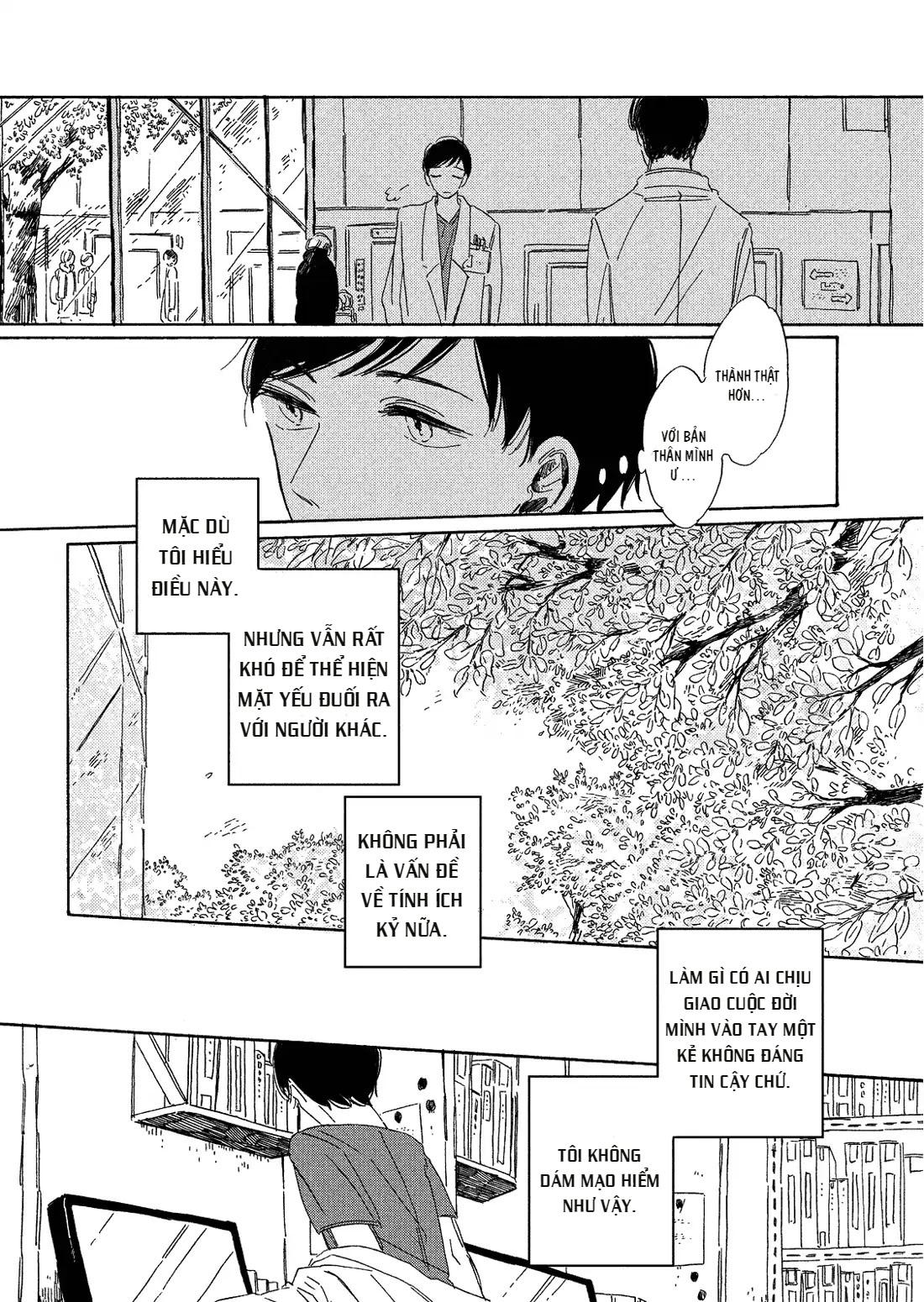 Vũ Điệu Của Ánh Sáng Chapter 4 - Trang 2
