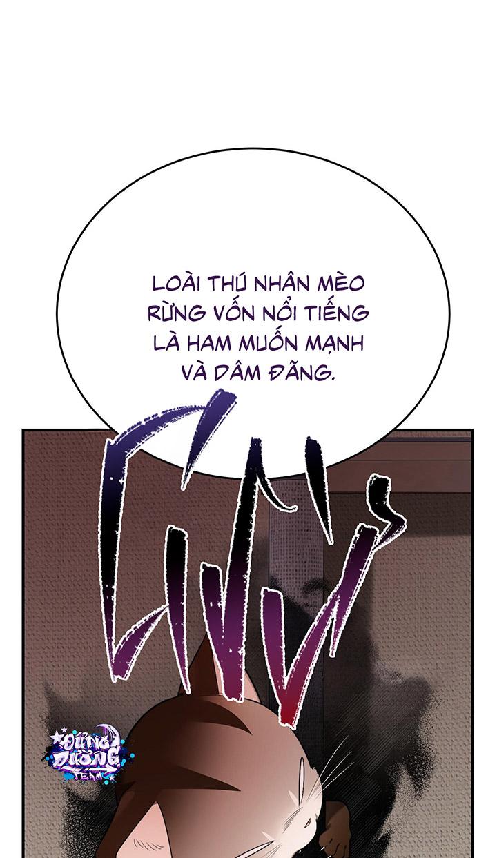 [DDT] HÃY SINH NHẤT MIÊU HÀI WILDCAT, NHƯ BẤT DỤC KIẾN NGÃ PHÁT CUỒNG! Chapter 1 19+ - Trang 2