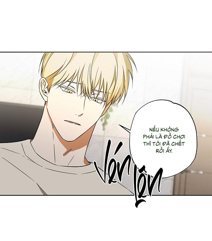 CHIẾN LƯỢC ĐOẠT TÂM CỦA CUỘC TÌNH ĐƠN PHƯƠNG Chapter 12 - Trang 2
