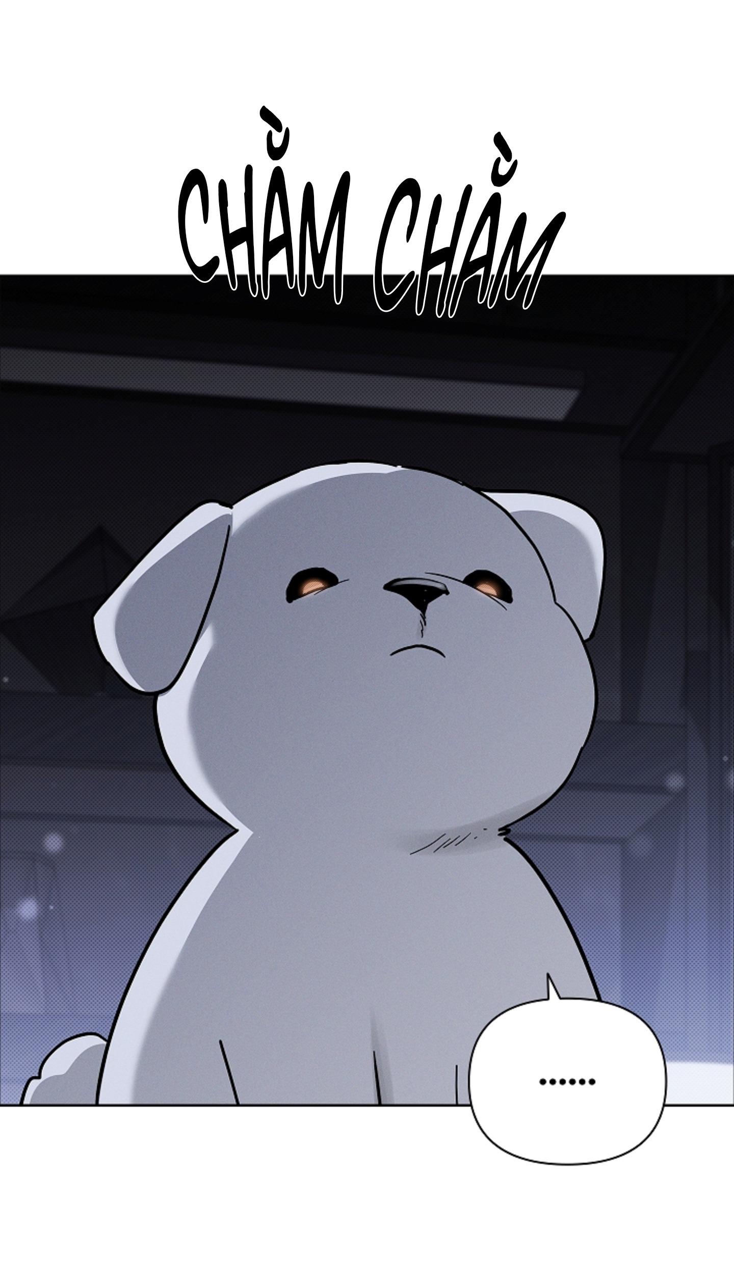 ĐỪNG ĐỘNG VÀO CÚN CON! Chapter 44.05 - Trang 2