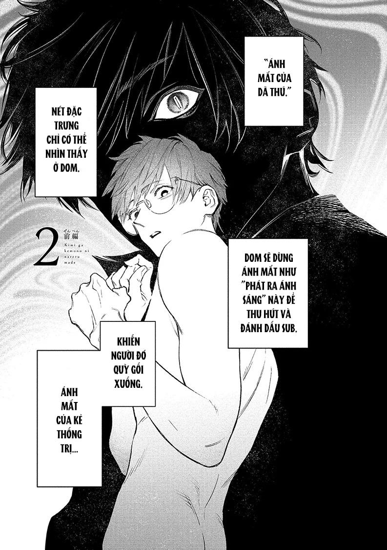 Cho Đến Khi Em Trở Thành Dom Chapter 2 - Trang 2