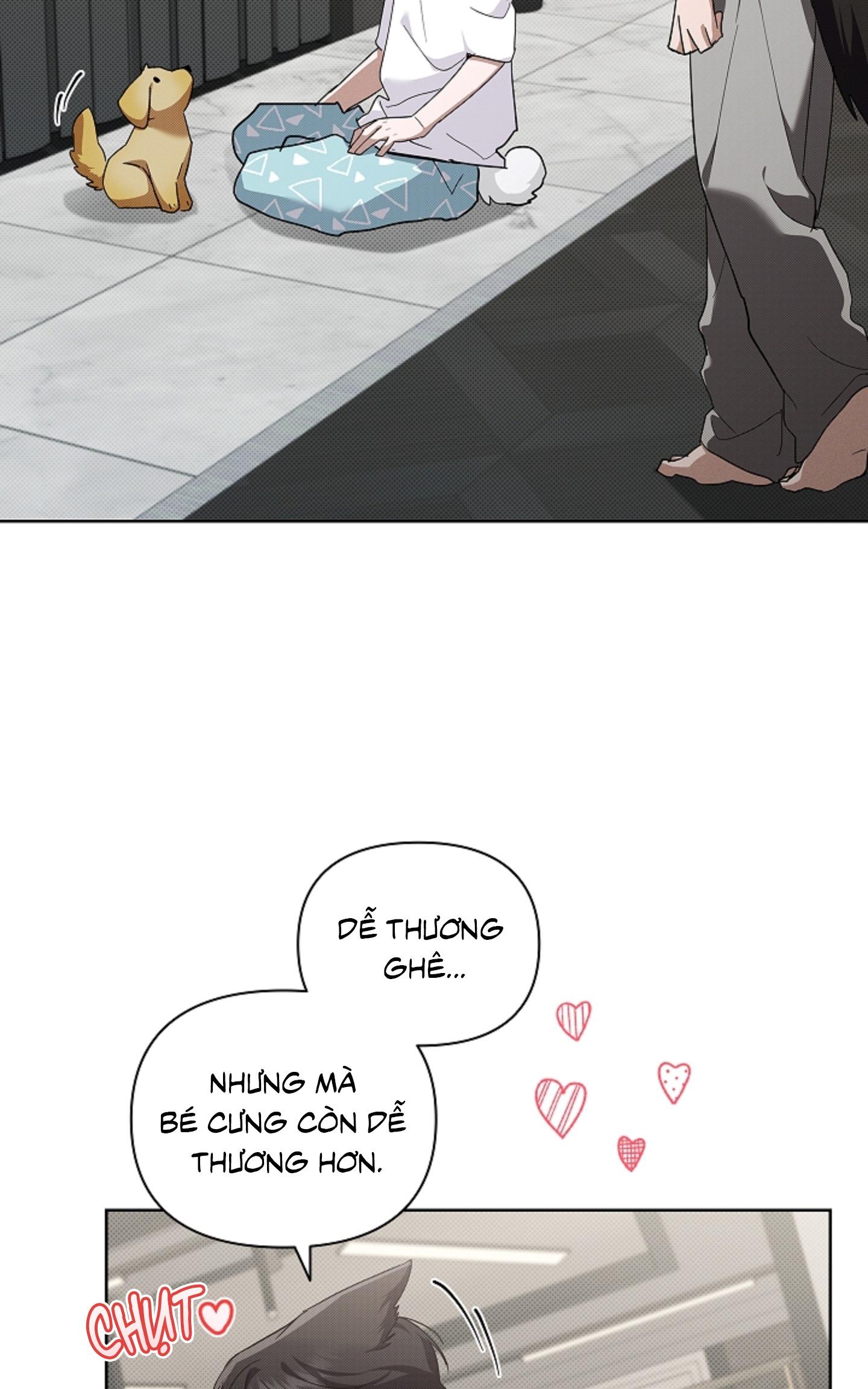 ĐỪNG ĐỘNG VÀO CÚN CON! Chapter 44.02 - Trang 2