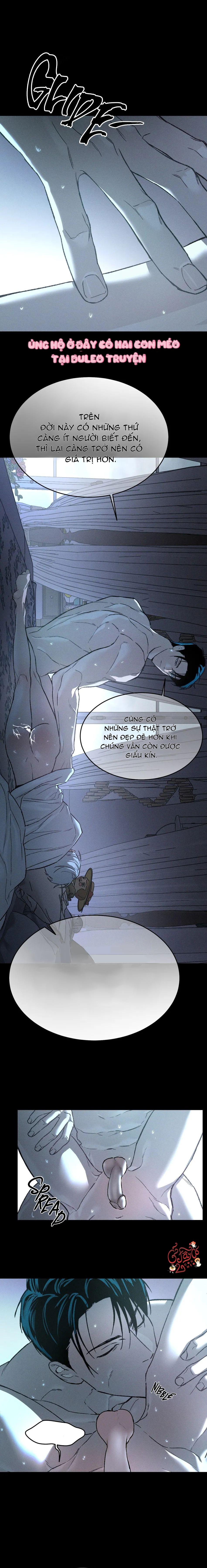 Che Giấu Tung Tích Chapter 5 - Trang 2